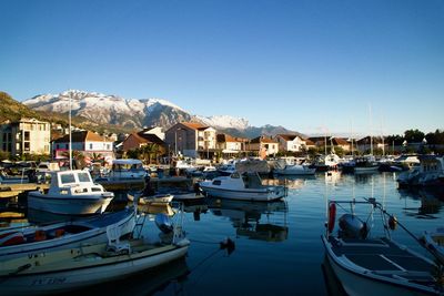 Boats moored at harbor against clear blue sky