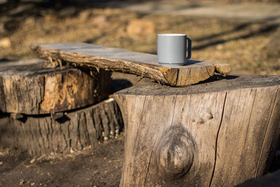 Cup on wood during sunny day