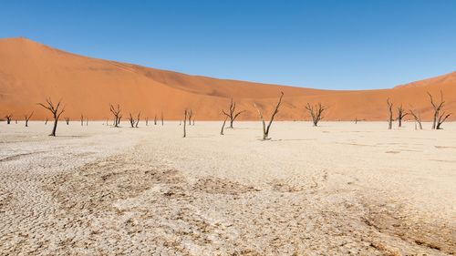 Scenic view of desert against clear sky