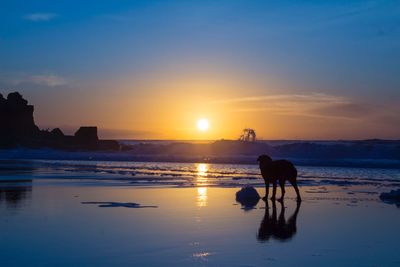 Silhouette woman on beach against sky during sunset