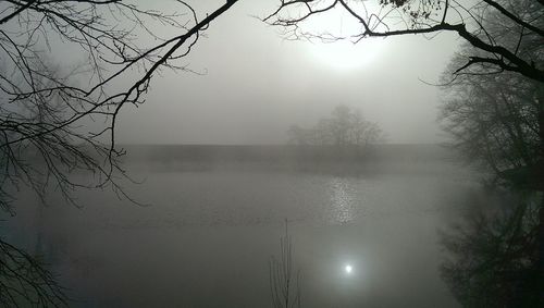 Reflection of trees in lake