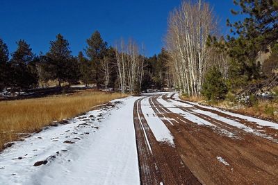 Road amidst trees against clear sky during winter