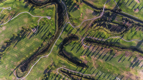 Full frame shot of agricultural field