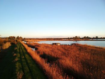 Scenic view of lake against clear sky