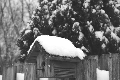 Close-up of snow on roof against trees