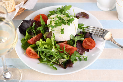 A salad made from a lettuce vegetables mix  portion, arugula, tomatoes,  sprouts and mozzarella