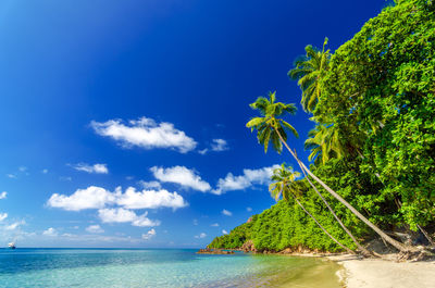 Scenic view of beach on sunny day