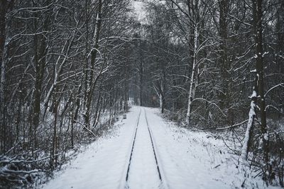 Snow covered road passing through forest