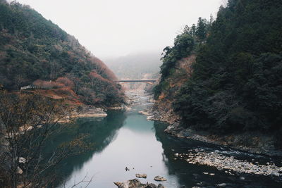 Scenic view of river in forest against sky