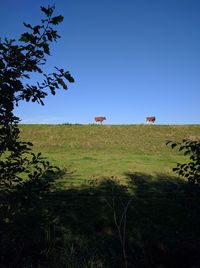 Low angle view of trees on field against clear sky