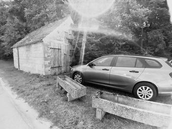 Car on road amidst trees