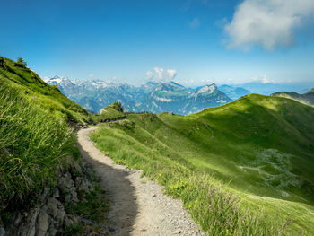 Road amidst green landscape against sky