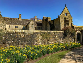 Flowering plants by old building against clear sky