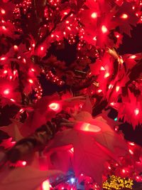 Low angle view of christmas tree at night