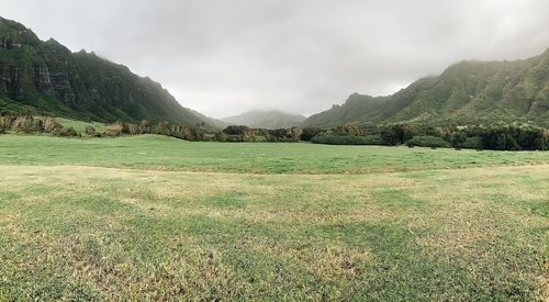 A panoramic view of just a glimpse of kualoa ranch on oahu, hawaii. 