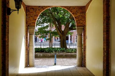 Trees seen through archway