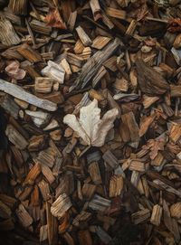 Full frame shot of dry leaves