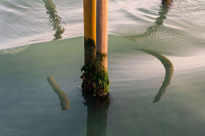 Close-up of wooden post in lake