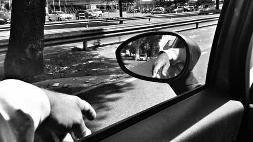 Reflection of dog on side-view mirror