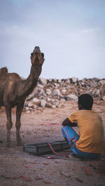 A shepherd with his camel