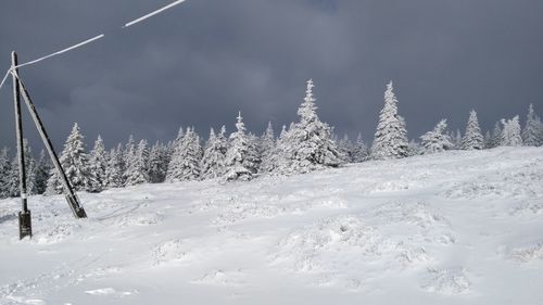 Snow covered field