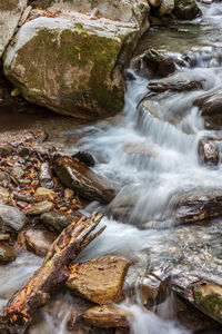 Scenic view of waterfall in forest