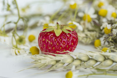 Close-up of strawberry on table
