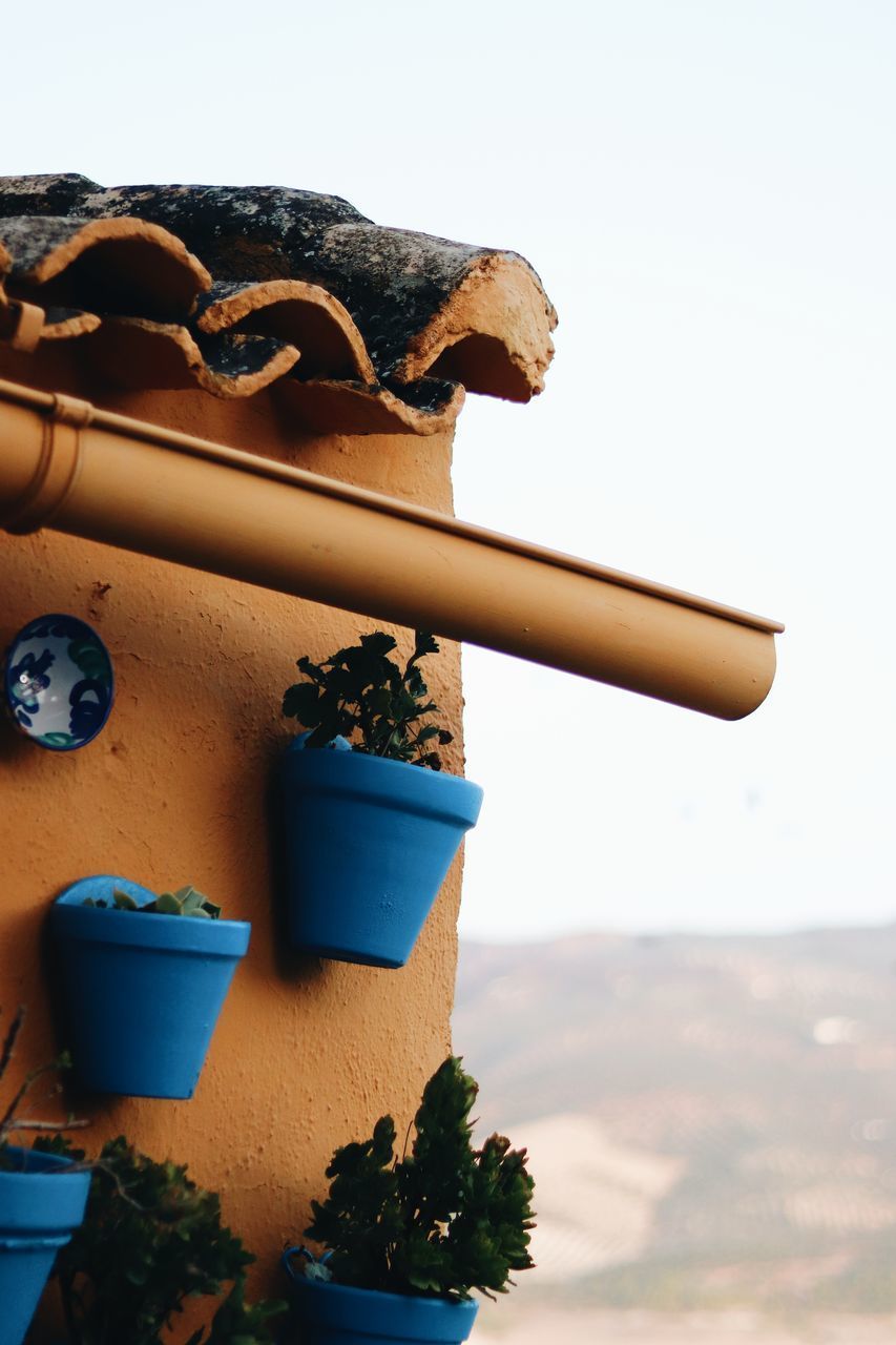 CLOSE-UP OF POTTED PLANT AGAINST STONE WALL