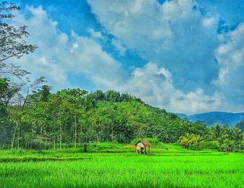 Scenic view of grassy field against cloudy sky