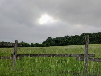 Scenic view of field against sky