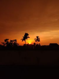 Silhouette palm trees against orange sky