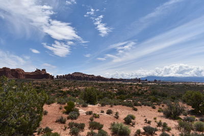 Scenic view of landscape against sky