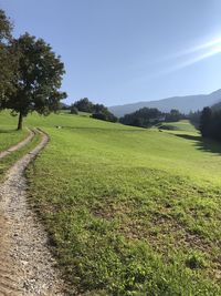 Scenic view of field against clear sky