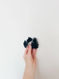 Close-up of cropped hand holding white background