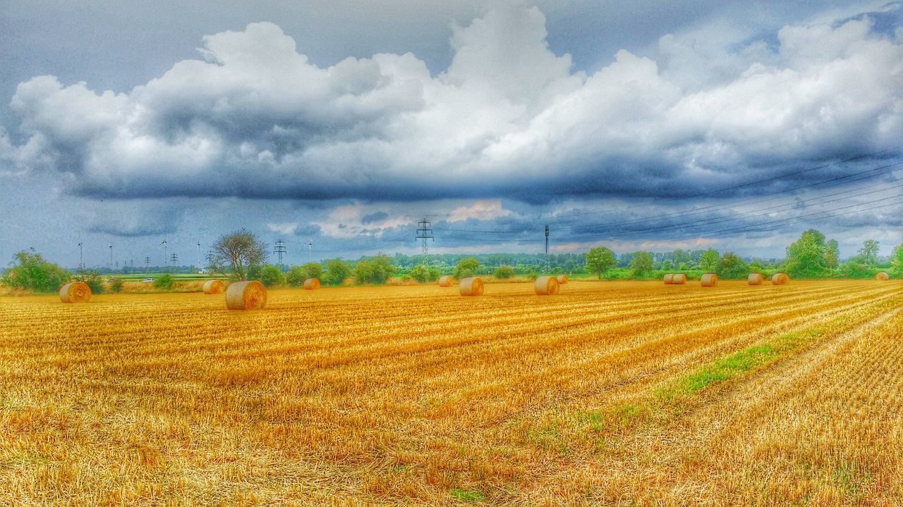 sky, field, landscape, agriculture, rural scene, cloud - sky, cloudy, tranquil scene, farm, tranquility, scenics, crop, cloud, nature, beauty in nature, growth, grass, cultivated land, horizon over land, weather