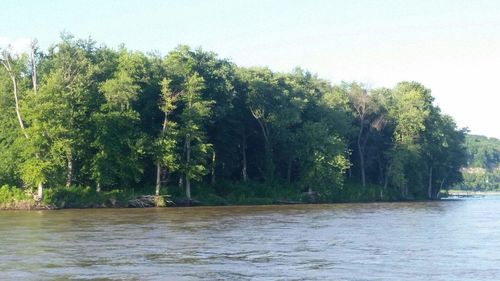 Scenic shot of calm river against clear sky