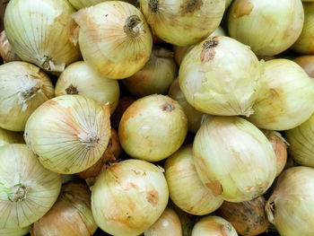 Full frame shot of pumpkins for sale
