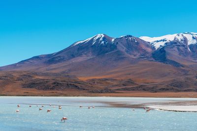 Scenic view of lake against clear blue sky