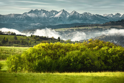 Scenic view of landscape against sky