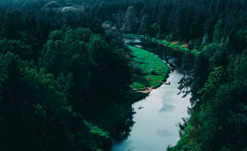 High angle view of river amidst trees in forest
