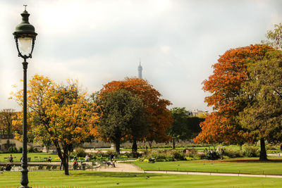 Trees in park against sky