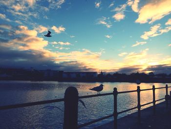 Scenic view of sea at sunset