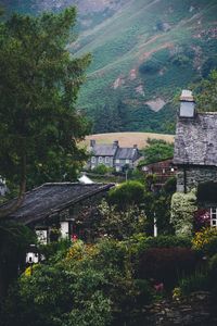 Trees and houses in a building