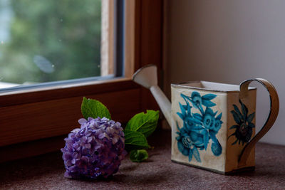 Close-up of potted plant on table