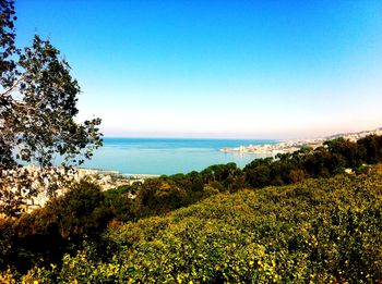 Scenic view of sea against clear sky