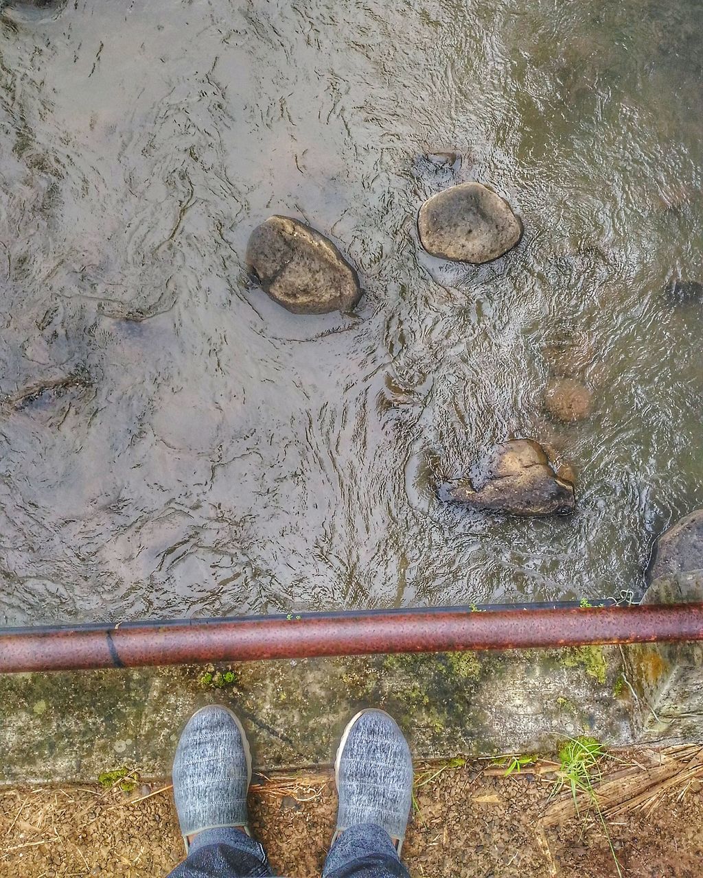 high angle view, low section, human leg, shoe, one person, standing, real people, day, human body part, water, outdoors, animal themes, nature, mammal, people