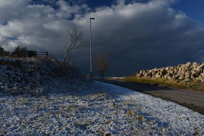 Surface level of road amidst trees on field against sky