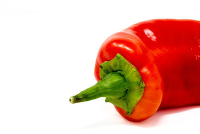 Close-up of red chili pepper against white background