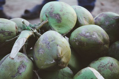 Close-up of fruits