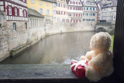 Rear view of boy in water